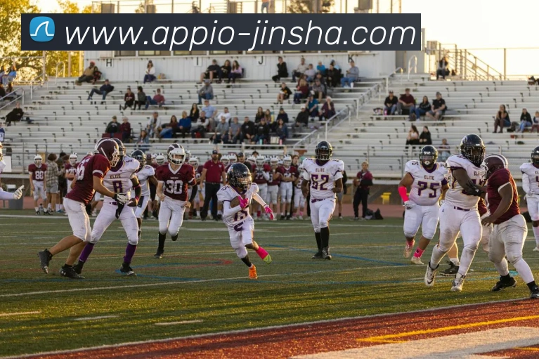 澳门金沙官网发展历程